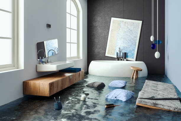 Best Flooded house restoration  in Pleasant Prairie, WI