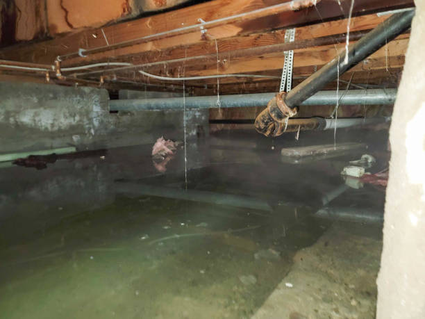 Best Water damage contractors near me  in Pleasant Prairie, WI