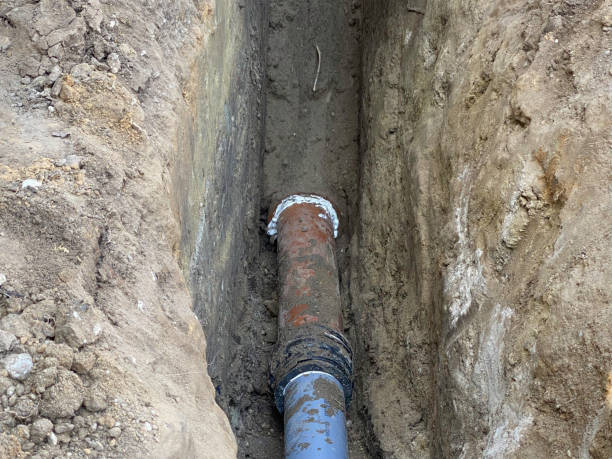 Best Flood restoration services  in Pleasant Prairie, WI