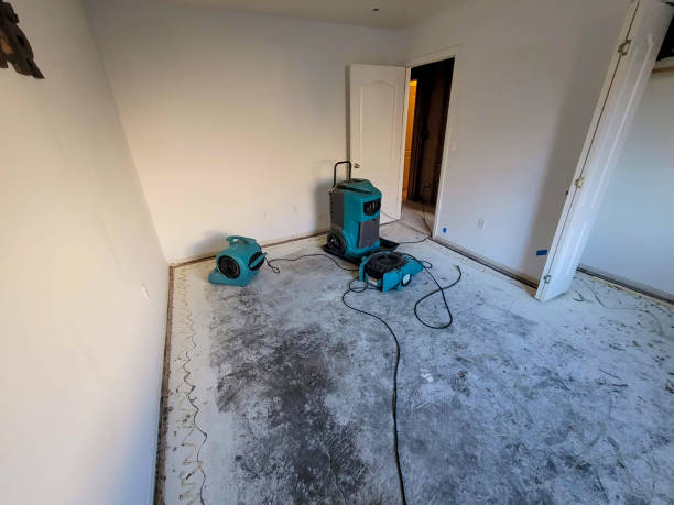 Best Residential water damage restoration  in Pleasant Prairie, WI