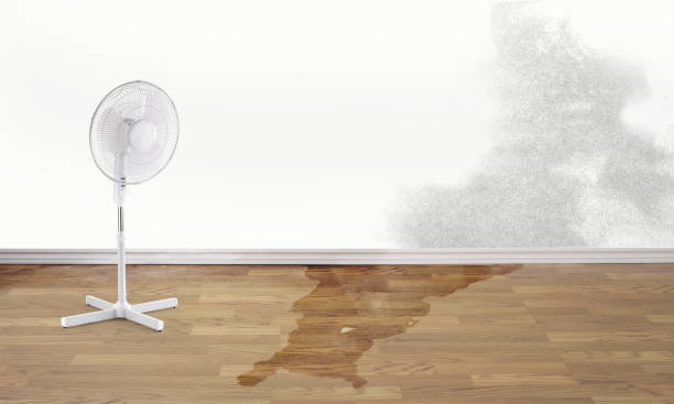 Best Water damage cleanup near me  in Pleasant Prairie, WI
