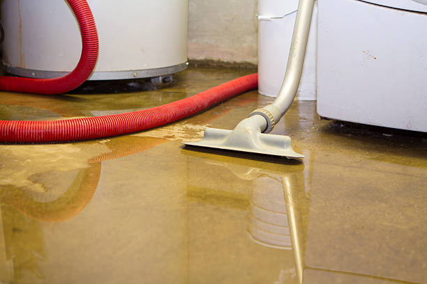 Best Local water damage restoration  in Pleasant Prairie, WI
