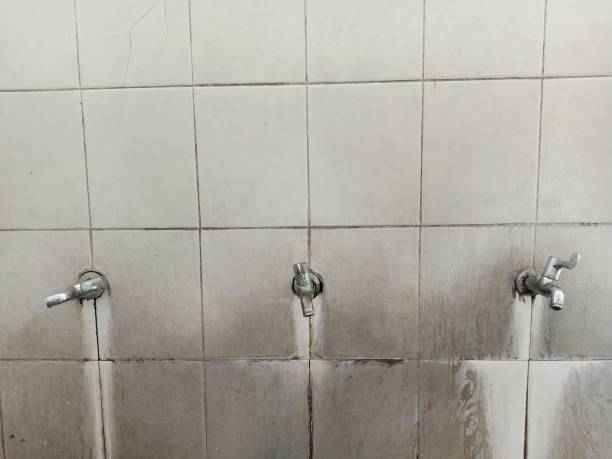 Best Emergency water damage restoration  in Pleasant Prairie, WI