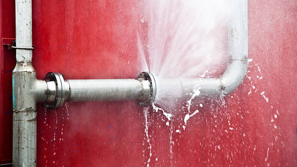 Best Sewage cleanup and water damage restoration  in Pleasant Prairie, WI
